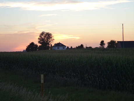 Farm01